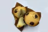 chocochip muffin